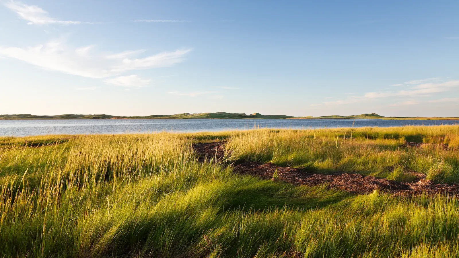 Low evening light across grasses, water, and dunes on Prince Edward Island.