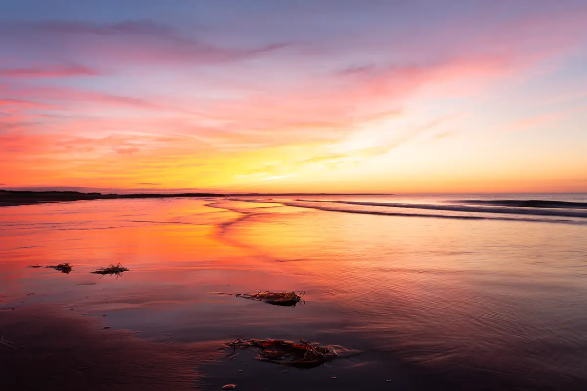 A sunset sky of pink, orange, and gold reflected in wet sand along the shore, with a few strands of seaweed.